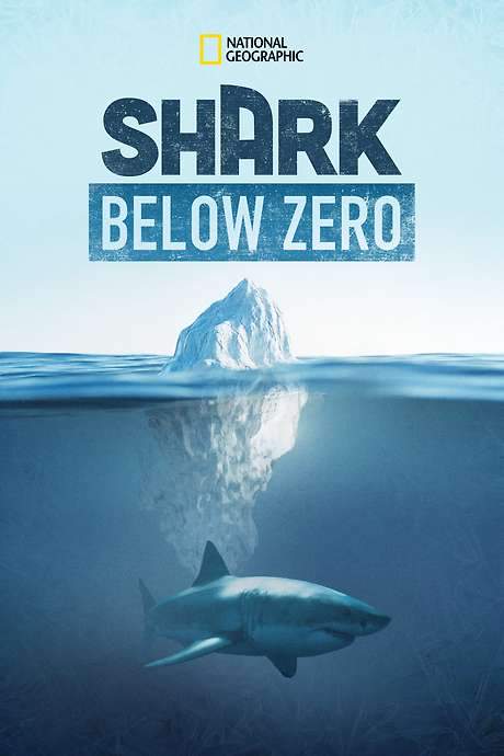 Shark Below Zero